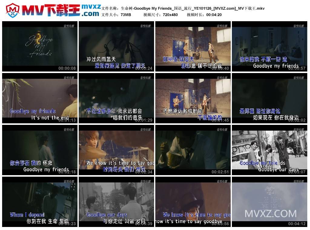 生命树-Goodbye My Friends_国语_流行_YE101126